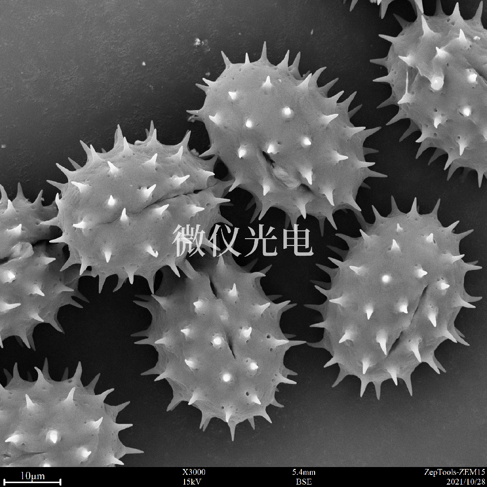 sem掃描電鏡的原理、組成、基本參數(shù)和應(yīng)用的介紹